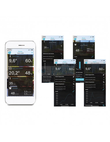 Station Météo couleur WS6869